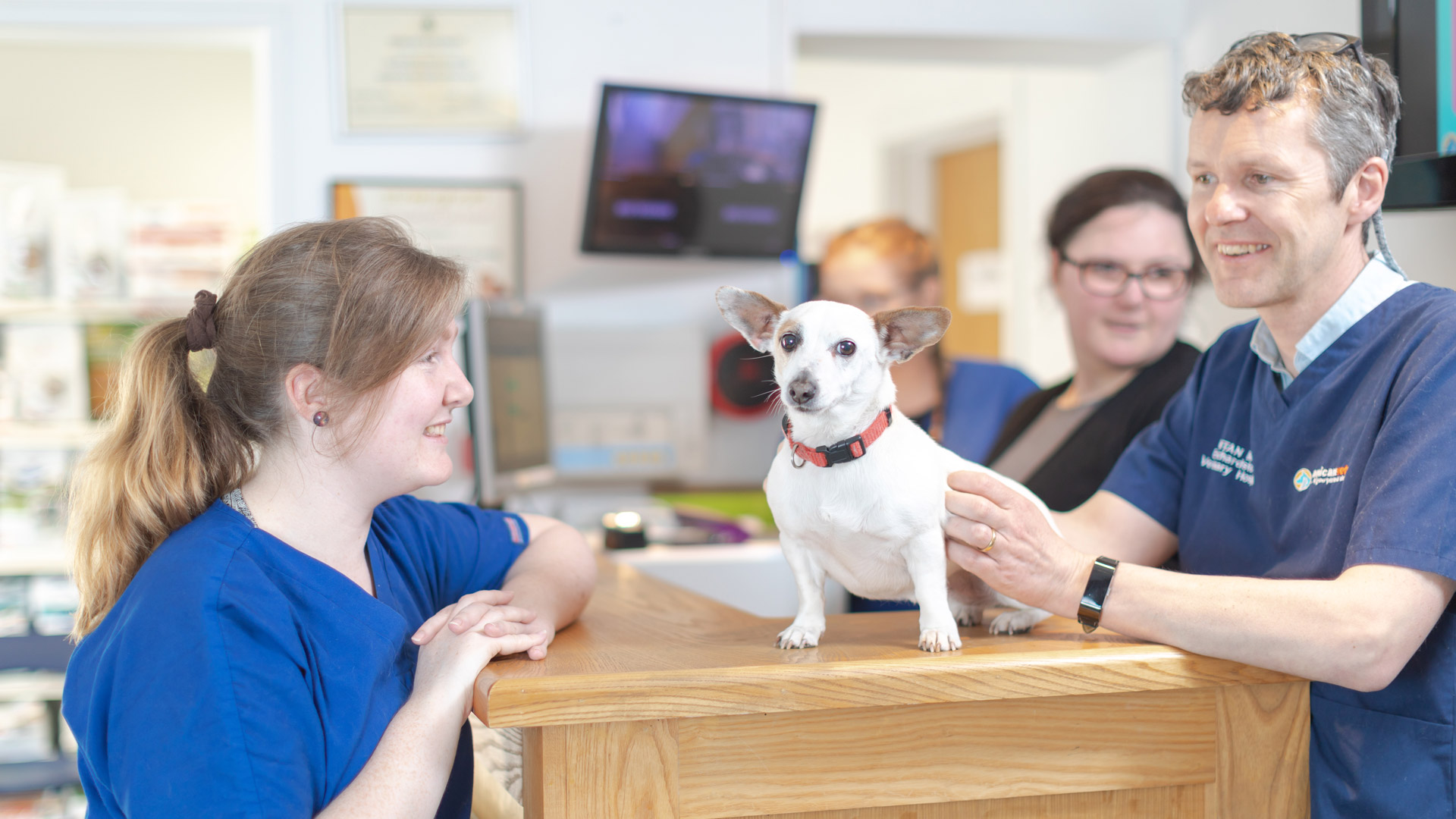 Veterinary clinic room